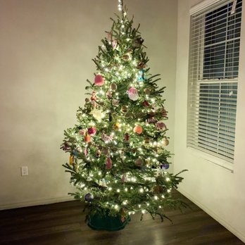 Treedrop - Christmas Trees Near Me Treedrop - Christmas Trees Near Me