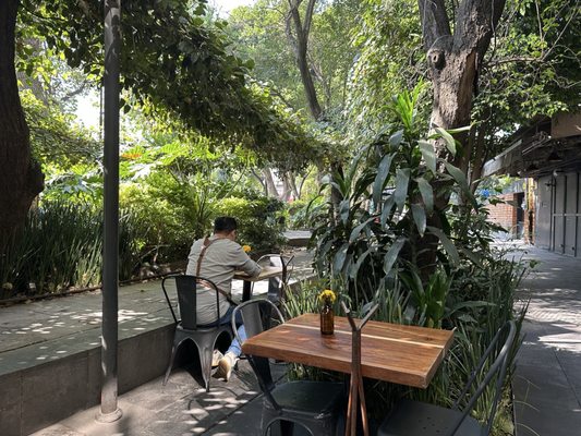 The Ventanita Cafe by null