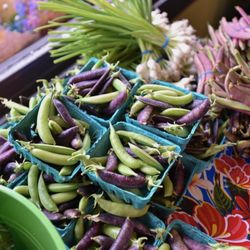 Kitsap Community Food Co-op - Fresh, seasonal, local veggies!