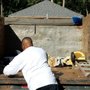 Photo of We Remove All Trash Corporation