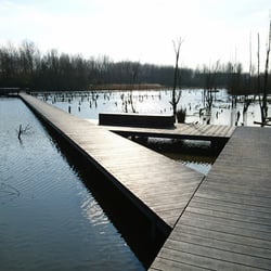 Verdronken Bos