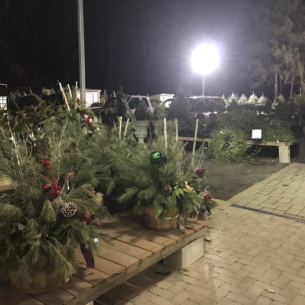 Colonial Nursery - Nurseries & Gardening Near Me - Lincroft, New Jersey