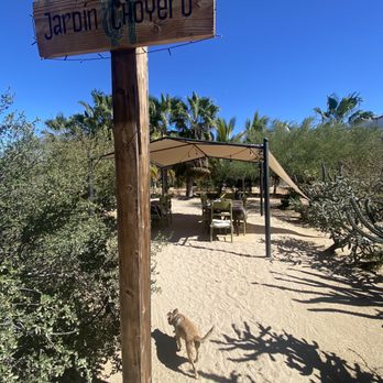 Nomada - BackyaRd - Juice Bars & Smoothies Near Me - El Sargento, BCS Nomada - BackyaRd - Juice Bars & Smoothies Near Me - El Sargento, BCS