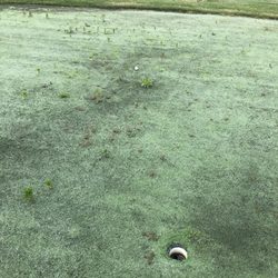 Little Bear Golf Club - Putting green