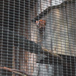 North Chagrin Nature Center-Cleveland Metroparks