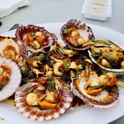 Sydney Fish Market - Australian scallops and abalone