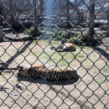 Amarillo Zoo - Zoos Near Me - Amarillo, Texas