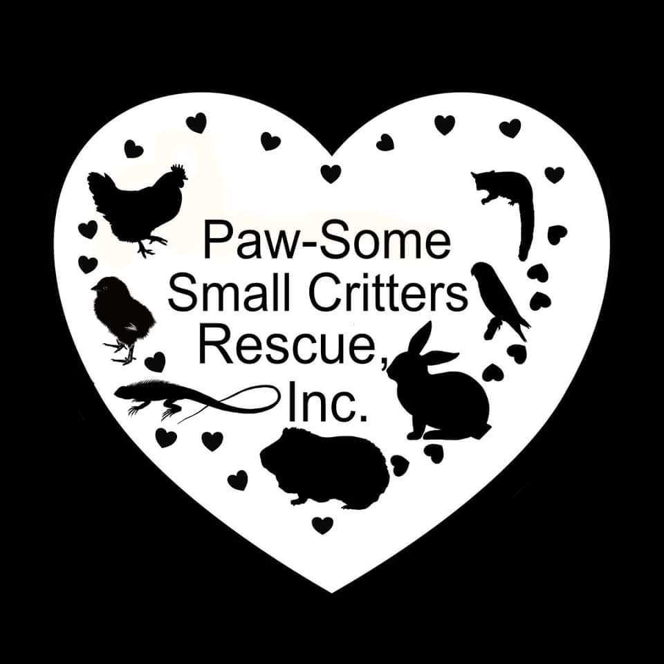 PAWSOME SMALL CRITTERS RESCUE Updated September 2024 Lake Jackson