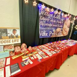 Lodi Grape Festival & Harvest Fair - Lodi Grape Fest 2026