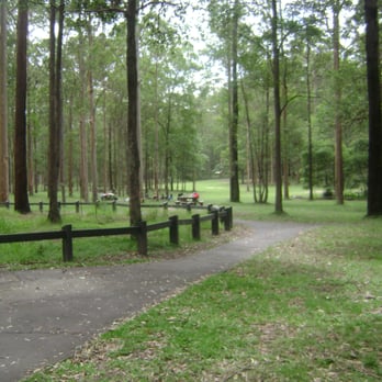 Daisy Hill Conservation Park - Landmarks & Historical Buildings Near Me - Daisy Hill, QLD
