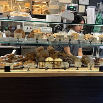 City Bakery - Pastry case - Bakeries Near Me - Asheville, North Carolina