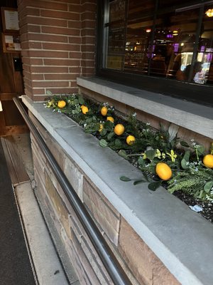 La Dolce Vita of Lemont by null