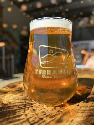 Terranaut Beer Taproom by null