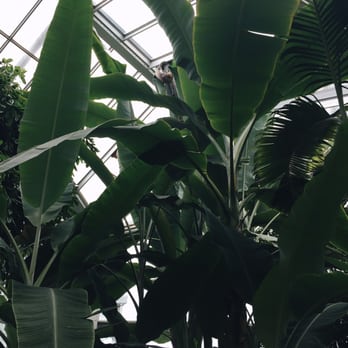 Palmengarten - Botanical Gardens Near Me - Frankfurt, HE