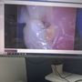 Photo of Tustin Avenue Dental Team