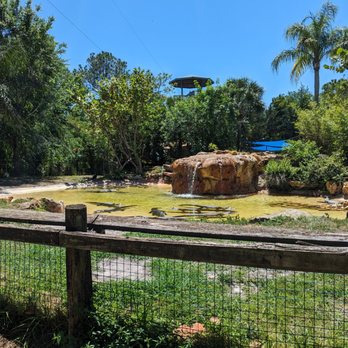 Gatorland - Zoos Near Me - Orlando, Florida Gatorland - Zoos Near Me - Orlando, Florida