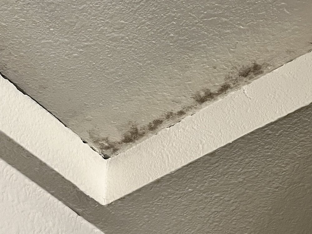 ALDER CREEK APARTMENTS Updated September 2024 14 Photos 11716 NE