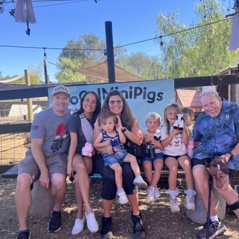 SoCalMiniPigs - Pet Breeders Near Me - Valley Center, California