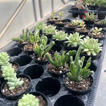 Frankenstein’s Nursery - Nurseries & Gardening Near Me - Harrison, Ohio