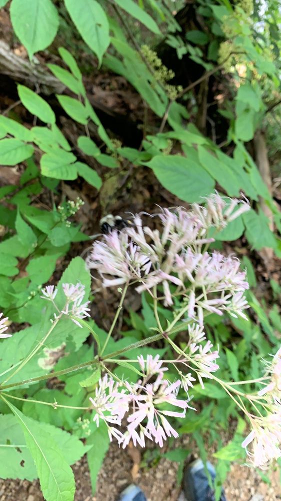 WHITETOP YOGA Updated August 2024 11 Photos 23910 Walden Rd