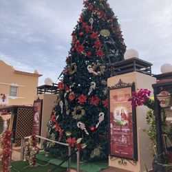 Mercado De Nuestra Señora De Africa