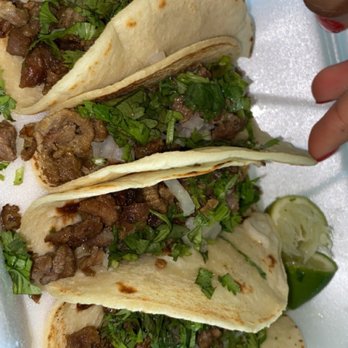 Taquitos Rioverde - Tacos asada - Tacos Near Me - Orlando, Florida