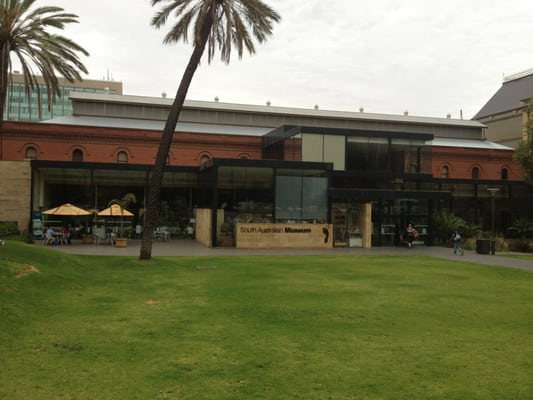 South Australian Museum by null