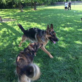 Ballenger Creek Dog Park - Dog Parks Near Me - Frederick, Maryland