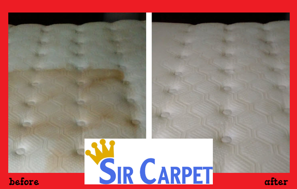 Sir Carpet 1535 N Horne Mesa Az Carpet Rug Cleaners Mapquest