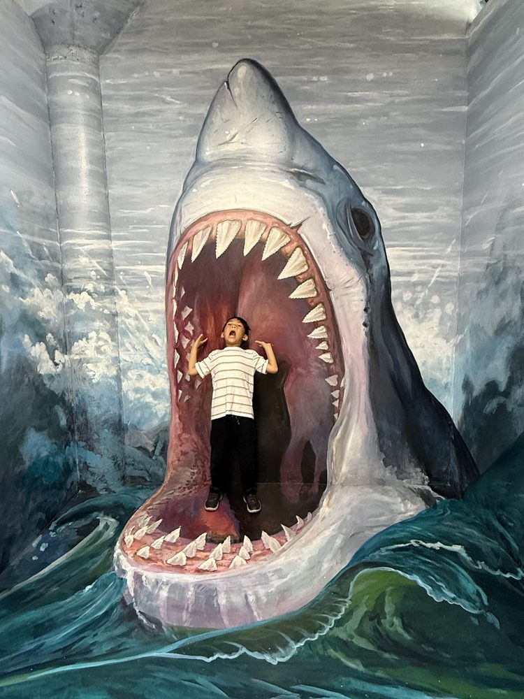 Museum Of 3D Illusions