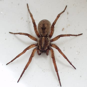 Pest be Gone - Pest Control Near Me Pest be Gone - Pest Control Near Me