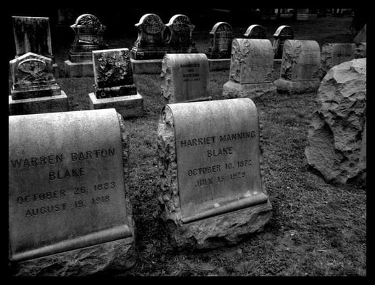 Forest Hills Cemetery by null