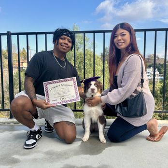 The Doggo - Delina graduation day - Pet Training Near Me