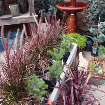 Native Roots Garden Center - Plants on hand with a mini water fountain. - Nurseries & Gardening Near Me - Durango, Colorado Native Roots Garden Center - Plants on hand with a mini water fountain. - Nurseries & Gardening Near Me - Durango, Colorado