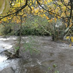 Promenade Xavier Grall - Le cours d'eau l'Aven