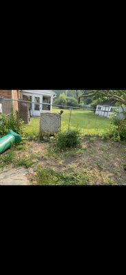 All For 1 For All Logo