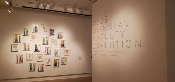 Rollins Museum of Art by null