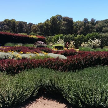 Filoli - Botanical Gardens Near Me - Woodside, California
