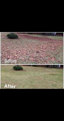 Lawn Care - Lawn Care Clients