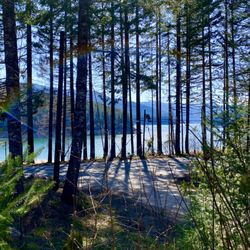 Lakeview RV Park
