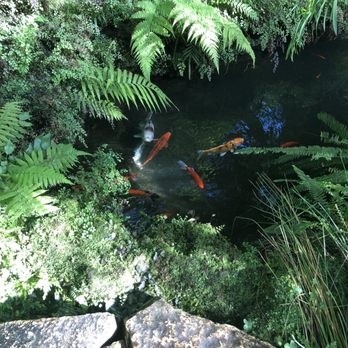Garfield Park Conservatory - Parks Near Me - Chicago, Illinois