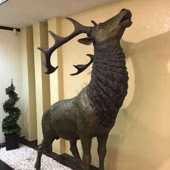 Elks Lodge - What else would you find in an Elks Lodge? 6/18/16 - Venues & Event Spaces Near Me - Orlando, Florida
