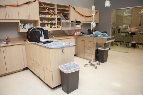 vca market street animal hospital