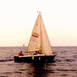 Martorana Filippo   Ingrosso Terriccio Stallatico Torba Vasi