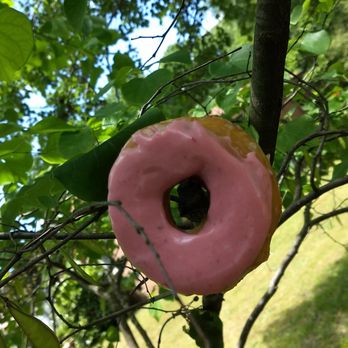 Down for Doughnuts - donut holder when your hands are full... - Coffee & Tea Near Me - Mooresville, North Carolina Down for Doughnuts - donut holder when your hands are full... - Coffee & Tea Near Me - Mooresville, North Carolina