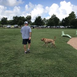 First Colony Park - Buster at the dog park