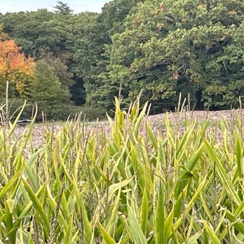 ADAM'S FARM - Feels like you're in the country - Pumpkin Patches Near Me - Cumberland, Rhode Island