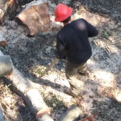 Soquel Tree Service - Jack, hard at work.