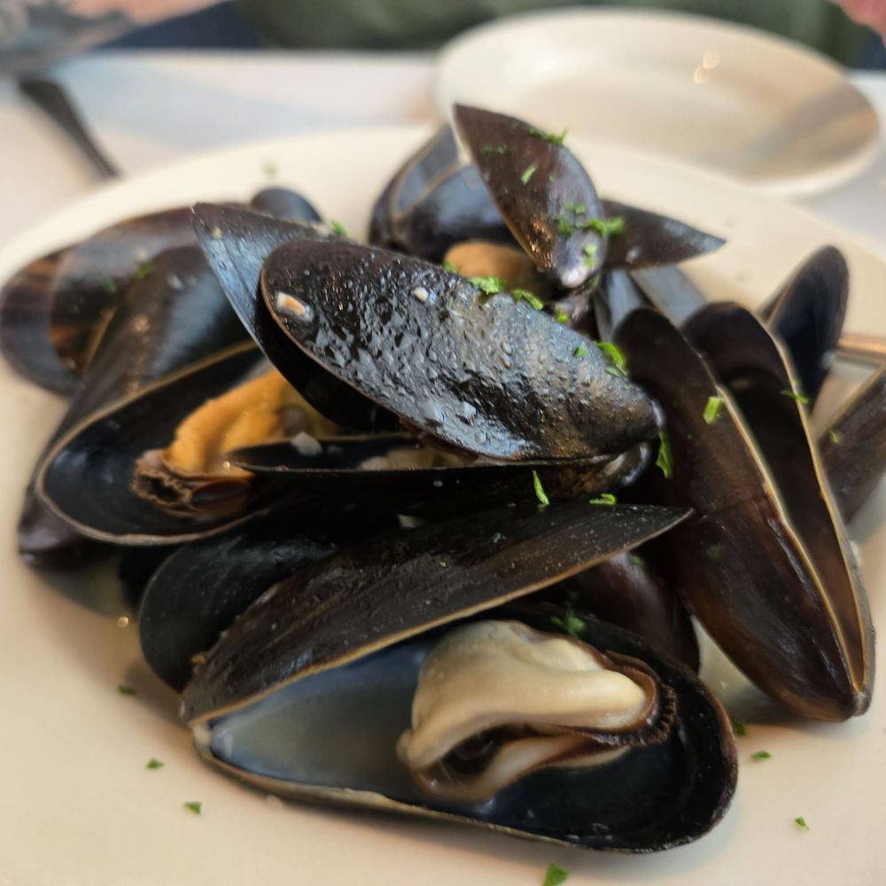 Blue Point Grill Newtown - Mussels in garlic butter - Salad Near Me - Newtown, Pennsylvania