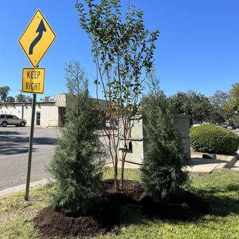 Trees Please - a street sign on a corner - Landscaping Near Me Trees Please - a street sign on a corner - Landscaping Near Me